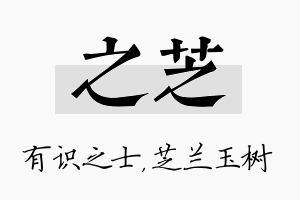 之芝名字的寓意及含义