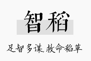 智稻名字的寓意及含义