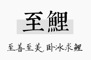 至鲤名字的寓意及含义