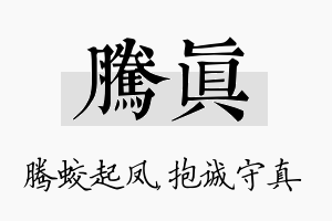 腾真名字的寓意及含义