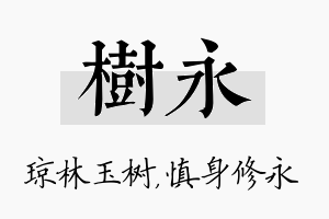 树永名字的寓意及含义