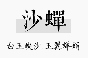 沙蝉名字的寓意及含义