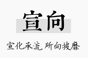 宣向名字的寓意及含义