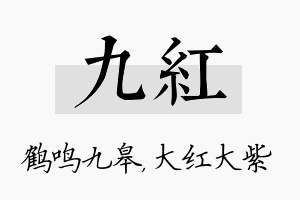 九红名字的寓意及含义