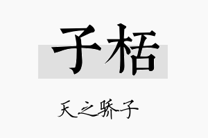 子栝名字的寓意及含义