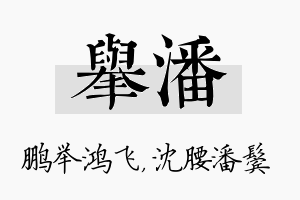 举潘名字的寓意及含义