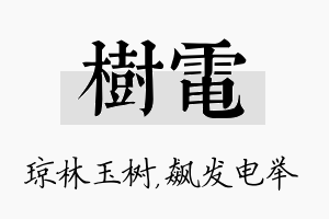 树电名字的寓意及含义