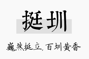 挺圳名字的寓意及含义