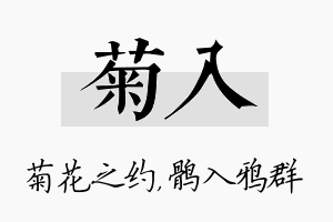 菊入名字的寓意及含义