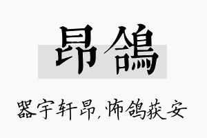 昂鸽名字的寓意及含义