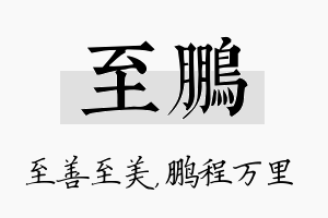 至鹏名字的寓意及含义