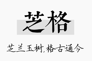 芝格名字的寓意及含义