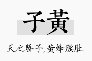 子黄名字的寓意及含义