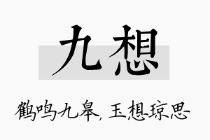 九想名字的寓意及含义