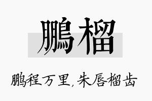 鹏榴名字的寓意及含义