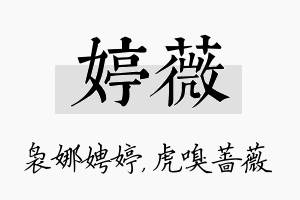 婷薇名字的寓意及含义