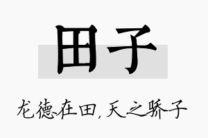 田子名字的寓意及含义