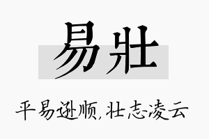 易壮名字的寓意及含义