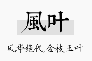 风叶名字的寓意及含义