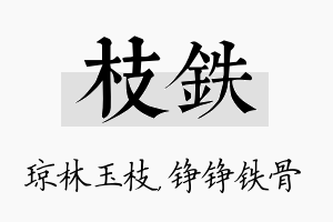 枝铁名字的寓意及含义