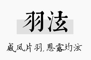 羽泫名字的寓意及含义