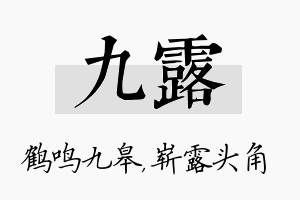 九露名字的寓意及含义