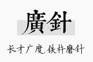 广针名字的寓意及含义