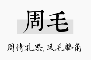 周毛名字的寓意及含义