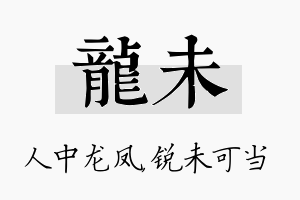 龙未名字的寓意及含义