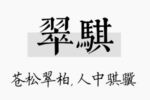 翠骐名字的寓意及含义