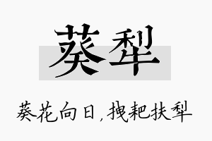 葵犁名字的寓意及含义