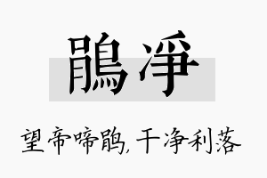 鹃净名字的寓意及含义