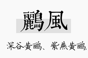 鹂风名字的寓意及含义