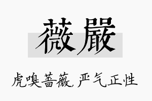 薇严名字的寓意及含义