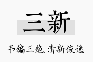 三新名字的寓意及含义