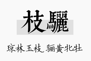 枝骊名字的寓意及含义