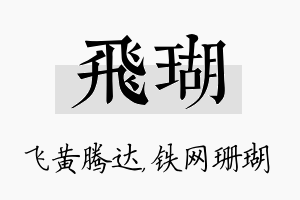 飞瑚名字的寓意及含义