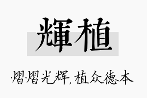 辉植名字的寓意及含义