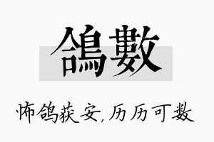 鸽数名字的寓意及含义