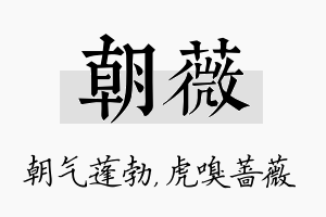 朝薇名字的寓意及含义