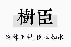 树臣名字的寓意及含义