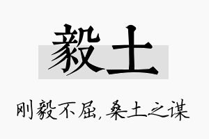 毅土名字的寓意及含义