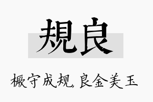 规良名字的寓意及含义