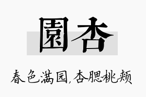 园杏名字的寓意及含义