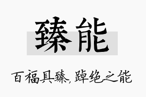 臻能名字的寓意及含义