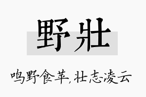 野壮名字的寓意及含义