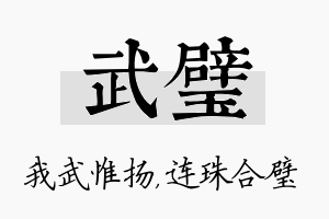 武璧名字的寓意及含义