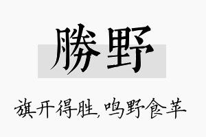 胜野名字的寓意及含义