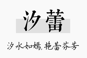 汐蕾名字的寓意及含义