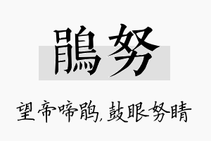 鹃努名字的寓意及含义